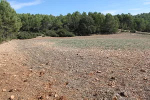 FINCA DE RECREO Y CAZA EN CUENCA - 1517