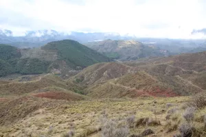 FINCA DE CAZA EN JAEN - 1428