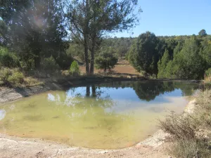 FINCA CINEGETICA EN GUADALAJARA - 1409