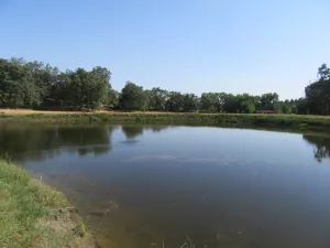 FINCA DE RECREO EN LA VERA