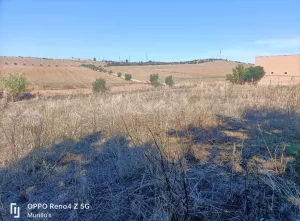 Parcela (Luz y Agua) en La Corchuela, Badajoz