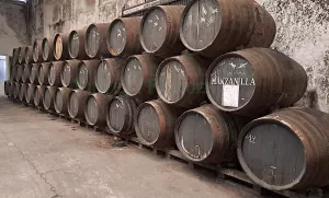 Bodega de vinos y brandy DO Jerez