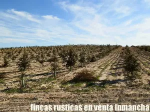 finca en venta 23 has. encina para trufa