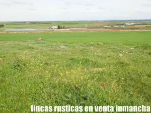 finca en venta 10 has. labor pastos recreo