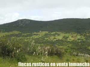 finca en venta 590 has. ganadera caza mayor