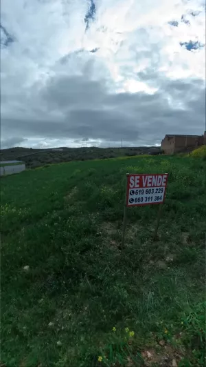 La Dehesa terreno urbano de olivar