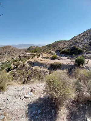 FINCA 50 HA. SIERRA DE LOS FILABRES.