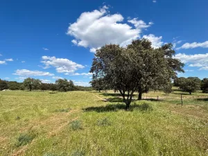 🌿 Finca en la Sierra Norte de Sevilla: 97 He