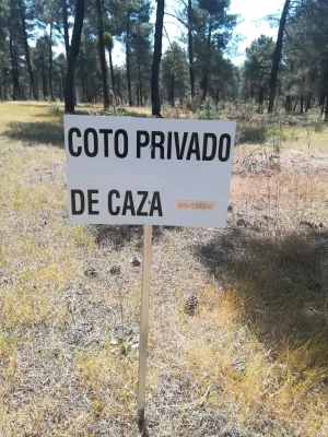 Venta finca forestal y 1.918m2 edificacion