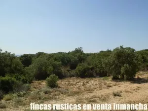 finca en venta 56 has. recreo caza menor