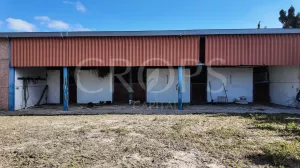 En venta finca ecuestre Costa de la Luz