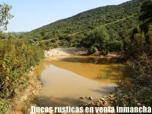 venta 570 has. caza mayor en Ciudad Real