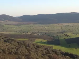 Finca rústica agrícola, ganadera y cinegética