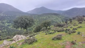 Finca de caza y ganadera en Valle de Alcudia