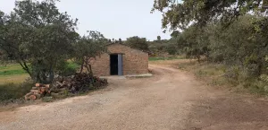 Se vende finca rústica con viñedos y olivares