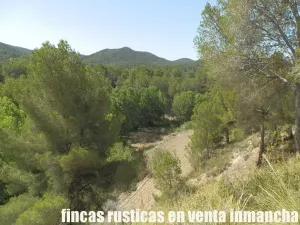 finca en venta 60 has. recreo Alicante