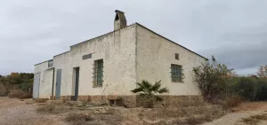 FINCA DE OLIVOS EN VENTA