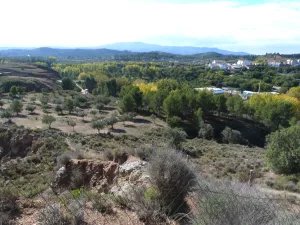 VENTA Olivar Alborache