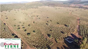 Finca de Caza Mayor en Ciudad Real