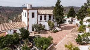 Casa de turismo rural con olivar en Córdoba