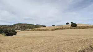 CASA CORTIJO FINCA RÚSTICA DE 756 ha