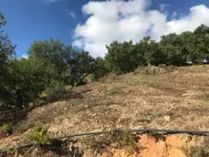 FINCA EN VENTA EN SIERRA DE ARACENA Y PICOS