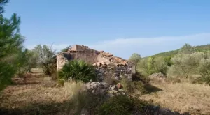 EN VENTA FINCA RÚSTICA