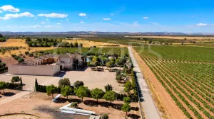 Finca residencial con olivar y viñedo