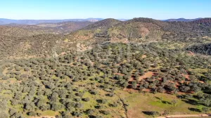 Finca agrícola y ganadera en Córdoba