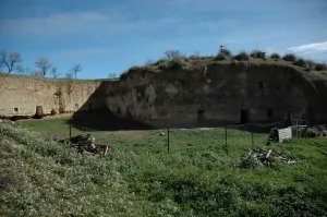 FINCA RUSTICA, SECANO Y CASAS CUEVA