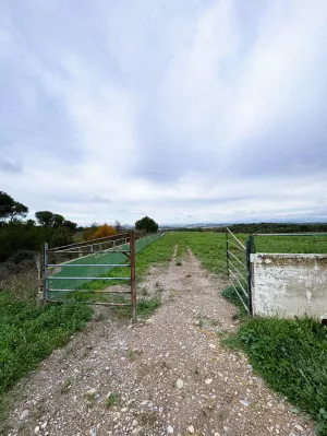 Impresionante Finca Mixta de 115 Hectáreas