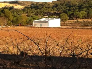 Finca y coto de caza con casona solariega