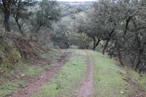 Finca de caza en Ciudad Real Ref. 1519