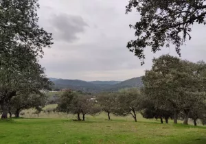 Finca La Reina