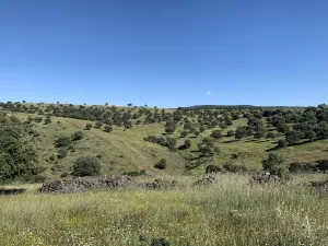 FINCA CINEGETICA EN JAEN - 1474