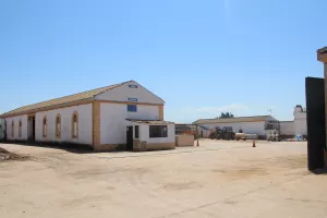 FINCA CON OLIVAR EN JAEN - 1438