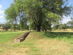 FINCA DE RECREO EN LA VERA