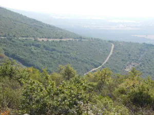 FINCA CINEGETICA EN TOLEDO - 1395