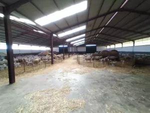 Finca ejemplar