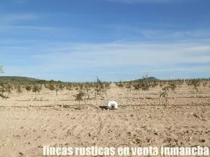 finca en venta 23 has. encina para trufa