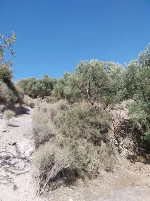 FINCA 50 HA. SIERRA DE LOS FILABRES.