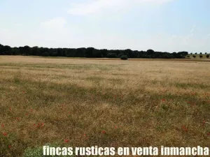 finca en venta 240 has. labor pinar maderable