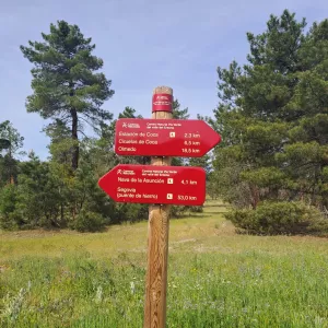 Venta finca forestal y 1.918m2 edificacion