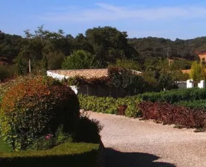 🌿 Finca en la Sierra Norte de Sevilla 42 ha