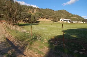 Finca Ganadera y Cinegética en Constantina