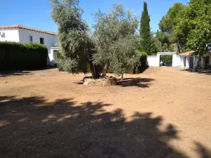 FINCA DE 250 HECTÁREAS
