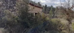Se vende 3 parcelas agrarias de 10 ha