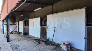 En venta finca ecuestre Costa de la Luz