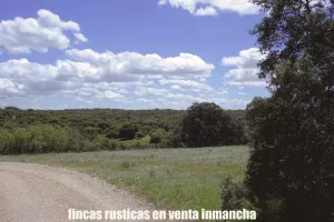 finca en venta 126 has. recreo caza en Cuenca
