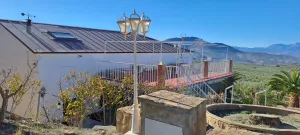 Casa cortijo con finca de olivar